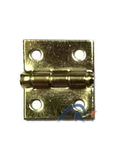 Muhtelif Tavla Menteşesi No:1 - Mini, 10x11mm, Sarı, 1 Adet Diğer