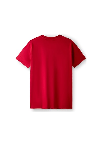 Galatasaray Lisanslı 26 Şampiyonluk Dejavu Kırmızı Tshirt
