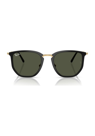Rb4451 630631 50-20-145 Unisex Güneş Gözlüğü Altın