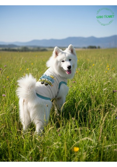 Beyaz Yürüyen Karizma Yazılı Kedi Ve Köpek Kıyafeti Tişörtü Elbisesi Medium/m/beden 2