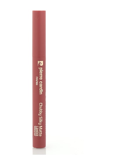 Pierre Cardin Chubby Silky Matte Lipstick Waterproof-ruj-cherry-607