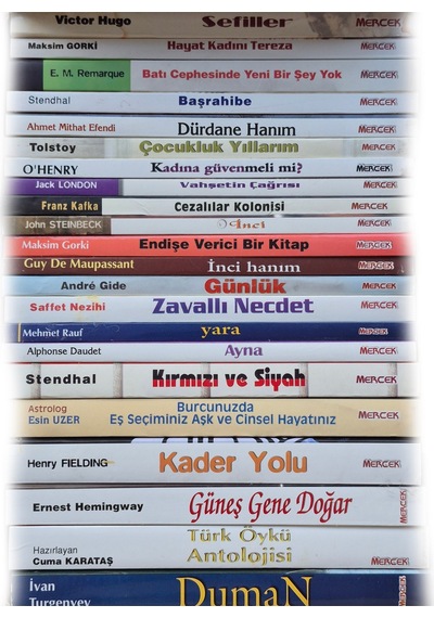 Gençlik Serisi 22 Kitaplık Dünya Klasiklerinden Seçme Romanlar