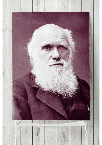 Charles Darwin Bilimsel Poster 2