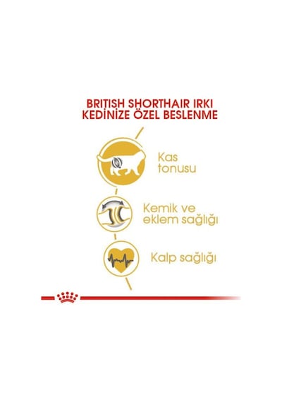 Royal Canin British Shorthair Adult Kedi Kuru Maması 2 Kg