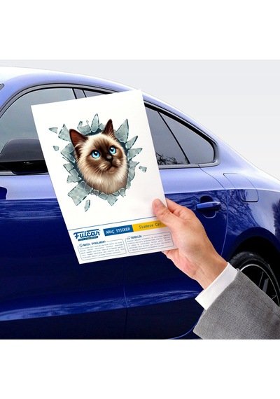 Fulcar Siamesse Araç Stickerı Çok Renkli