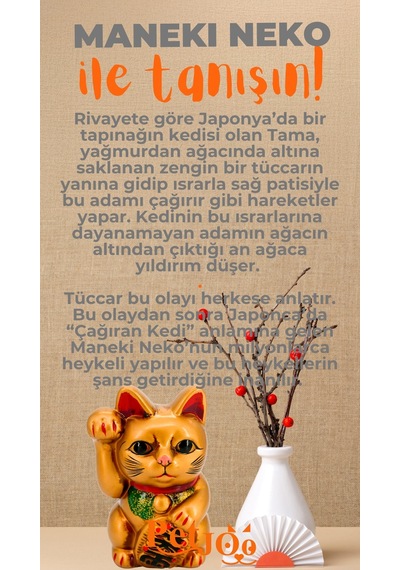 Petjoo 4.Maneki Neko Turuncu-Gri Qr'lı Kedi Künyesi