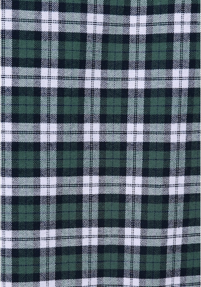 Colin's Colins Regular Fit Shirt Neck Ekoseli Erkek Yeşil Uzun Kol Gömlek Cl1076492 Q1.v2 Grn Yeşil