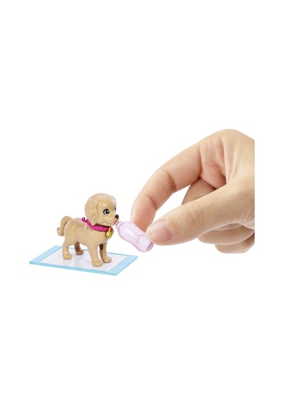 Hkd86 Barbie Ve Köpekçikleri Oyun Seti