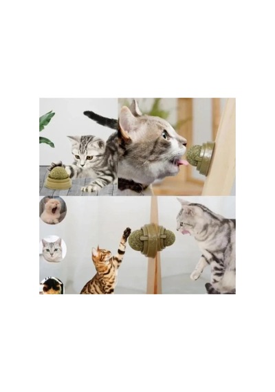 Herşeytrend Kedi Nanesi Oyun Topu