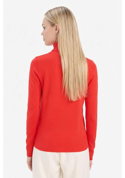 DeFacto Regular Fit Yumuşak Dokulu Balıkçı Yaka Basic Düz Triko Kazak H1651AZ24WNRD227 Kırmızı