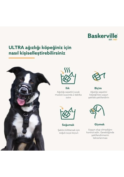 Company Of Animals Ultra Ağızlık, Boyut 2