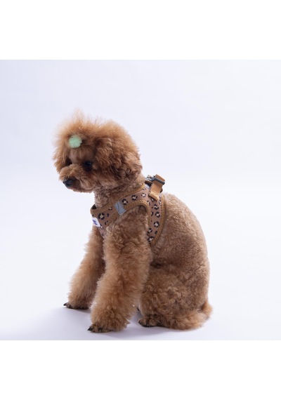 Wild Elegance Göğüs Tasması Ve Sevk Kayışı Tasma Seti Leopar Kedi Köpek Göğüs Tasması Seti Kahverengi