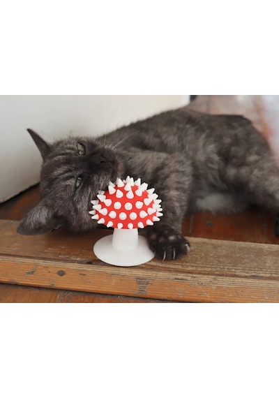 Pureysma Görünümlü Kedi Kaşıma Oyuncağı Tımar Catnip Uy Beyaz - Kırmızı
