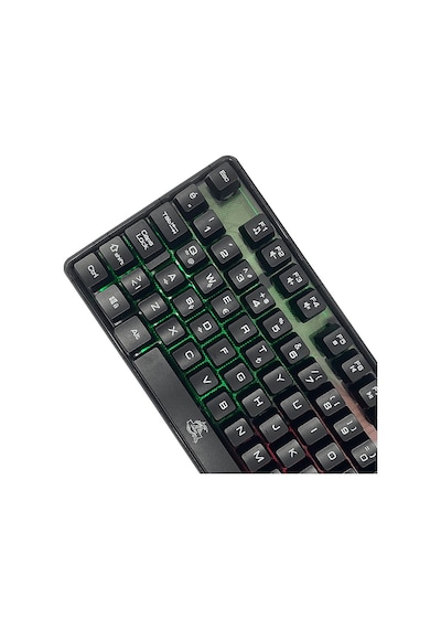 Dexim KBL707 Mekanik Hisli Rgb Led Arka Işıklı Şeffaf Kablolu Gaming Oyuncu Klavye