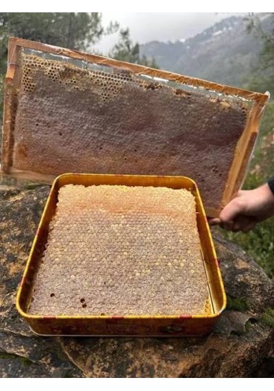 Bitlis Hizan Doğal Yayla Petek Balı Polifloralı Çok Çiçekli Bal Ta14 1050 G