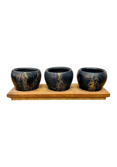 Bitki Tasarımı Black Marble Premium 3'lü Sukulent Kaktüs Saksı Seti Ahşap Standlı Dekoratif Saksılık 0.9 L