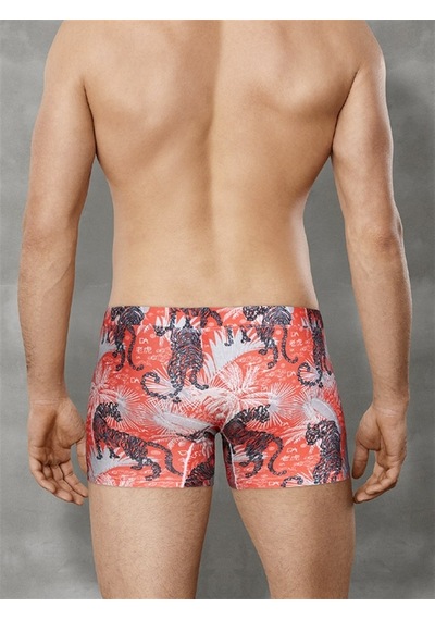 Doreanse Erkek Turuncu Kaplan Desenli Boxer 1709 Çok Renkli