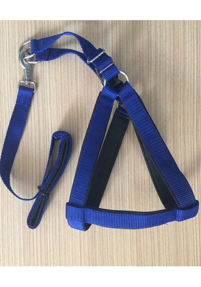 Cado Pet Ayarlanabilir Köpek Göğüs Tasması ve Gezdirme İpi Mavi 3 x 65-75 CM Mavi