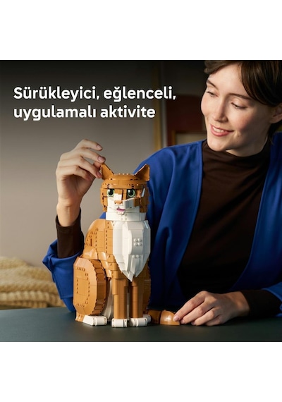 Lego 21376 Ideas Turuncu Kedi