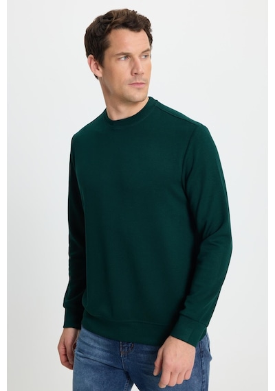 Tudors Erkek Relax Fit Rahat Kesim Uzun Kollu Ekstra Yumuşak Bisiklet Yaka Yeşil Sweatshirt-41873 Yeşil