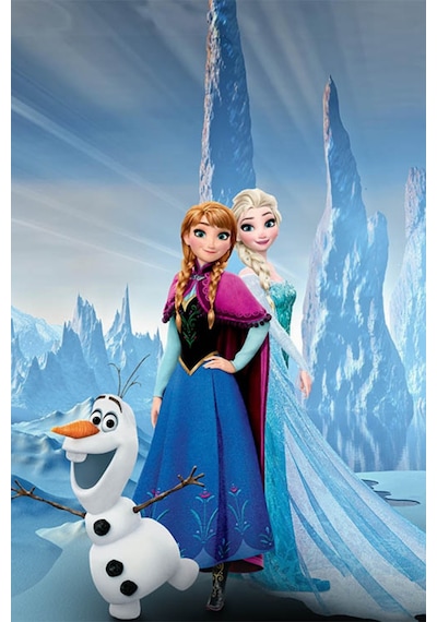 Karlar Ülkesi Frozen Elsa Lüks Doğum Günü Parti Seti 16 Kişilik Diğer
