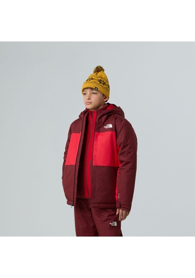 The North Face B Freedom İzolasyonlu Genç Çocuk Ceket Nf0a88tzdı91 Çok Renkli
