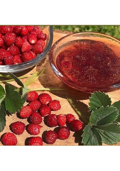 Bizim Yöresel Dağ Çileği Reçeli 390 G