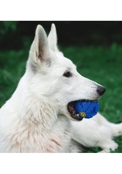 Büro Ev Evcil Hayvanı İçin Sesli Mama Köpek Oyun Topu
