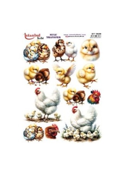 Sulu Transfer Kağıdı 25x35cm St-1629
