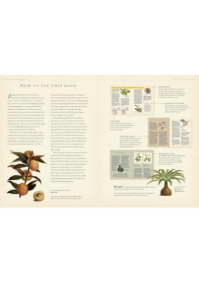 Rhs Botany For Gardeners: The Art And Science Of Gardening Explained & Explored