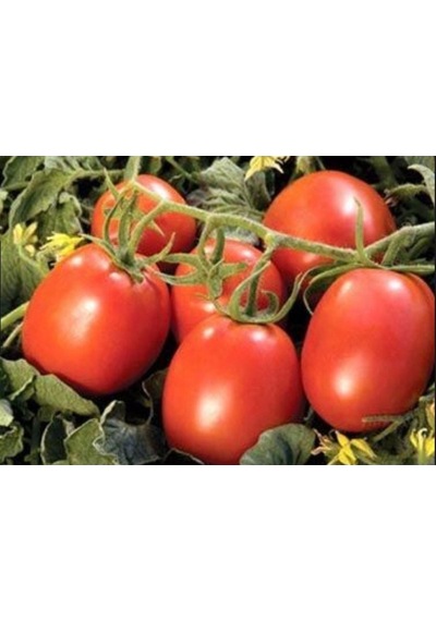 Domates Coşturan Gübre 20 Kg 1 kg
