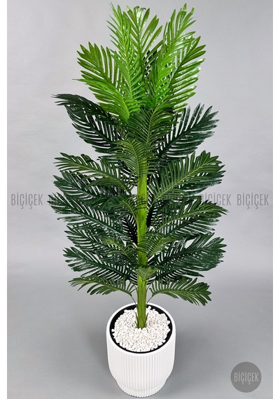 Yapay Areka Ağacı 160-180 Cm H