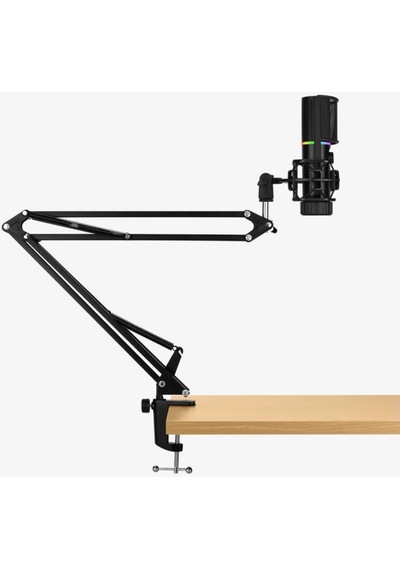Mıc Arm Cardioid Rgb Siyah Yayıncı Mikrofonu