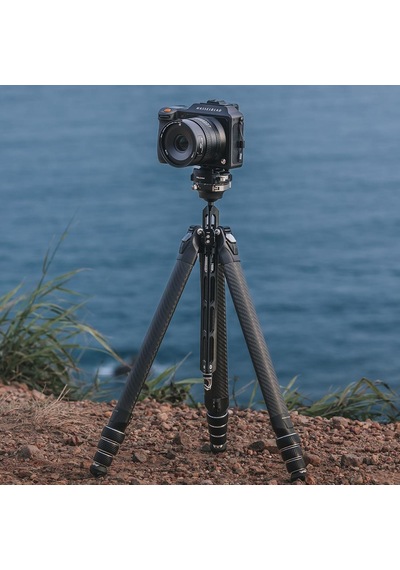 Falcam Treeroot Quick Lock Travel Tripod R141k-320p T00a4301