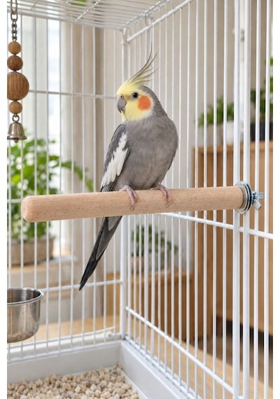 Mivra Pets Ahşap Kuş Tüneği 22 Cm X 20 Mm Vidalı