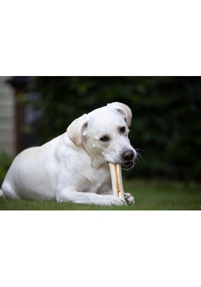 Delights Strong L Boy Kemik, 130 Gr Köpek Ödülü