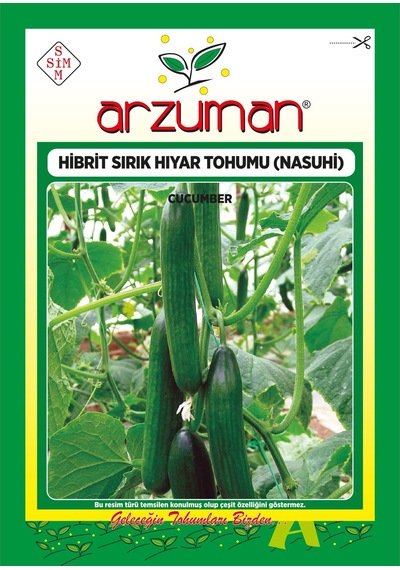 Arzuman Nasuhi F1 Sırık Hıyar Tohumu 10 Adet