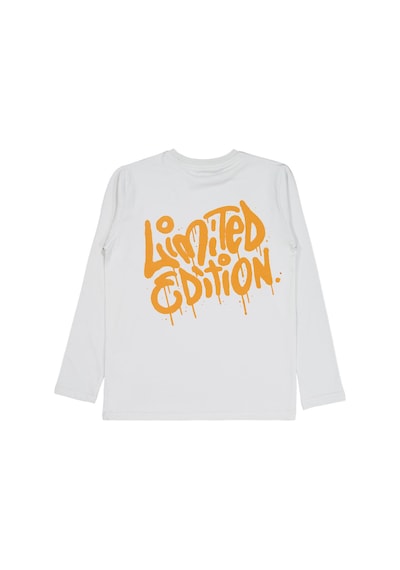 Civil Boys Limited Edition Baskılı 10-13 Yaş Sweatshirt - Gri Açık Gri