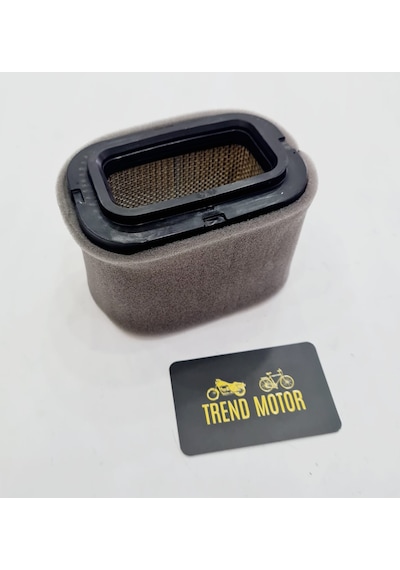 Hava Filtresi Euro 5 - Tvs Ntorq 125 Oem
