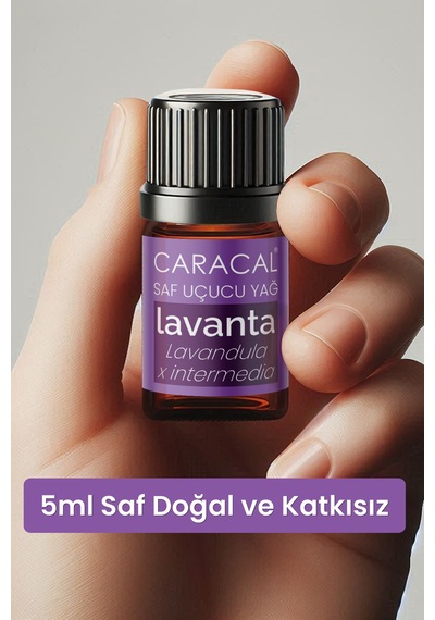 Caracal %100 Saf Lavanta Yağı 5ml Doğal Lavanta Uçucu Yağı 5 ML