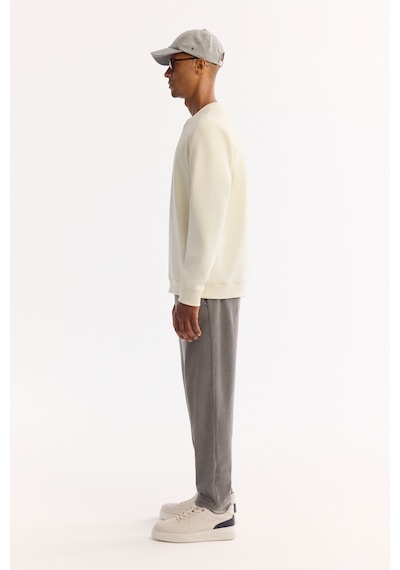 Avva Erkek Ekru Bisiklet Yaka Pamuklu Bi-stretch Baskılı Regular Fit Sweatshirt A52y1305