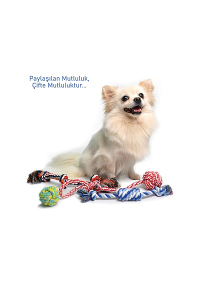 Valkyrie 4 Lü Köpek Diş İpi Oyuncağı Seti Isırma Çekiştirme Eğiti