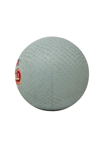 Mikasa Dodge Ball Çok Renkli