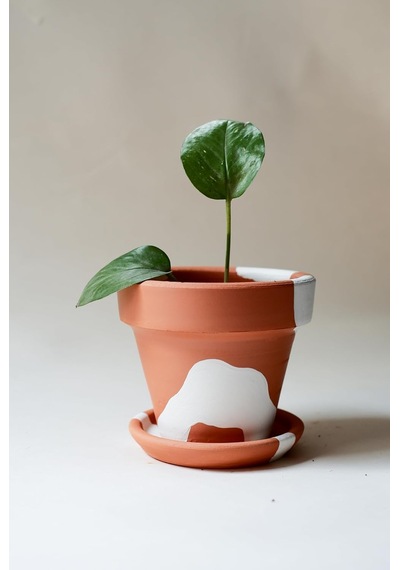 Terracotta Konik Saksı+tabak Bohem Beyaz Büyük 001