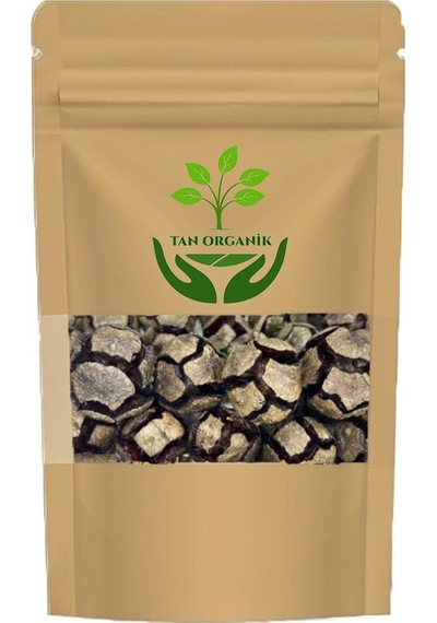 Servi Kozalağı Cupressus Sempervirens 25gr