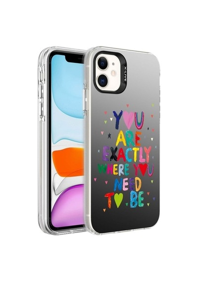 Apple Uyumlu iPhone 12 Kılıf Desenli Zore Silver Sert Kapak