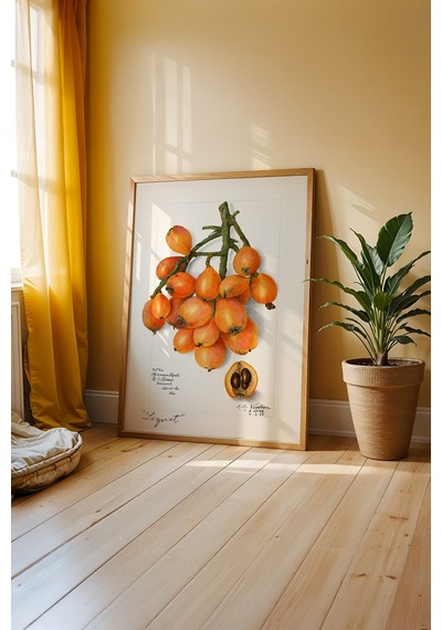 Modern Mutfak Estetiği Ahşap Çerçeveli Poster Tablo 83