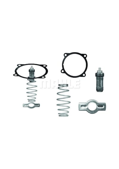 Mahle-av Termostat Kıtı - Intarderlı Iveco Stralıs Trakker Eurostar Eurotech / Ford Cargo 1846 AOD-MAHLE TX5179D