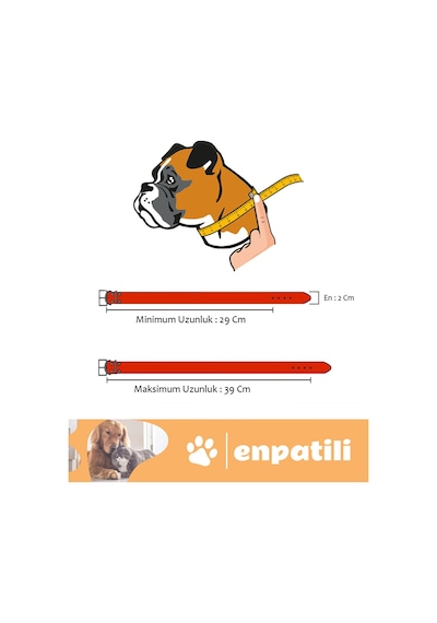 Köpek Tasması Yetişkin Küçük Orta Irk