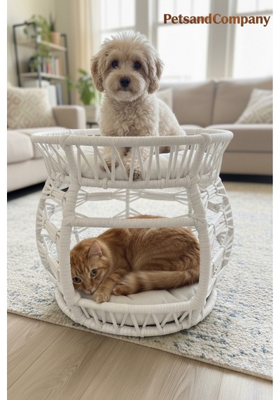 El Örgüsü 2 Katlı Kedi Köpek Yatağı Ve Evi Beyaz,53x50 Cm, Modern Çift Katlı Evcil Hayvan Ranzası